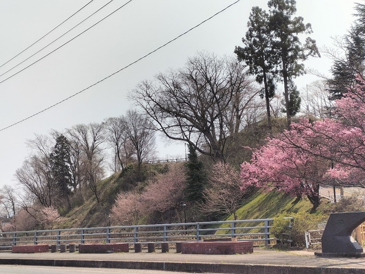 散歩道の風景