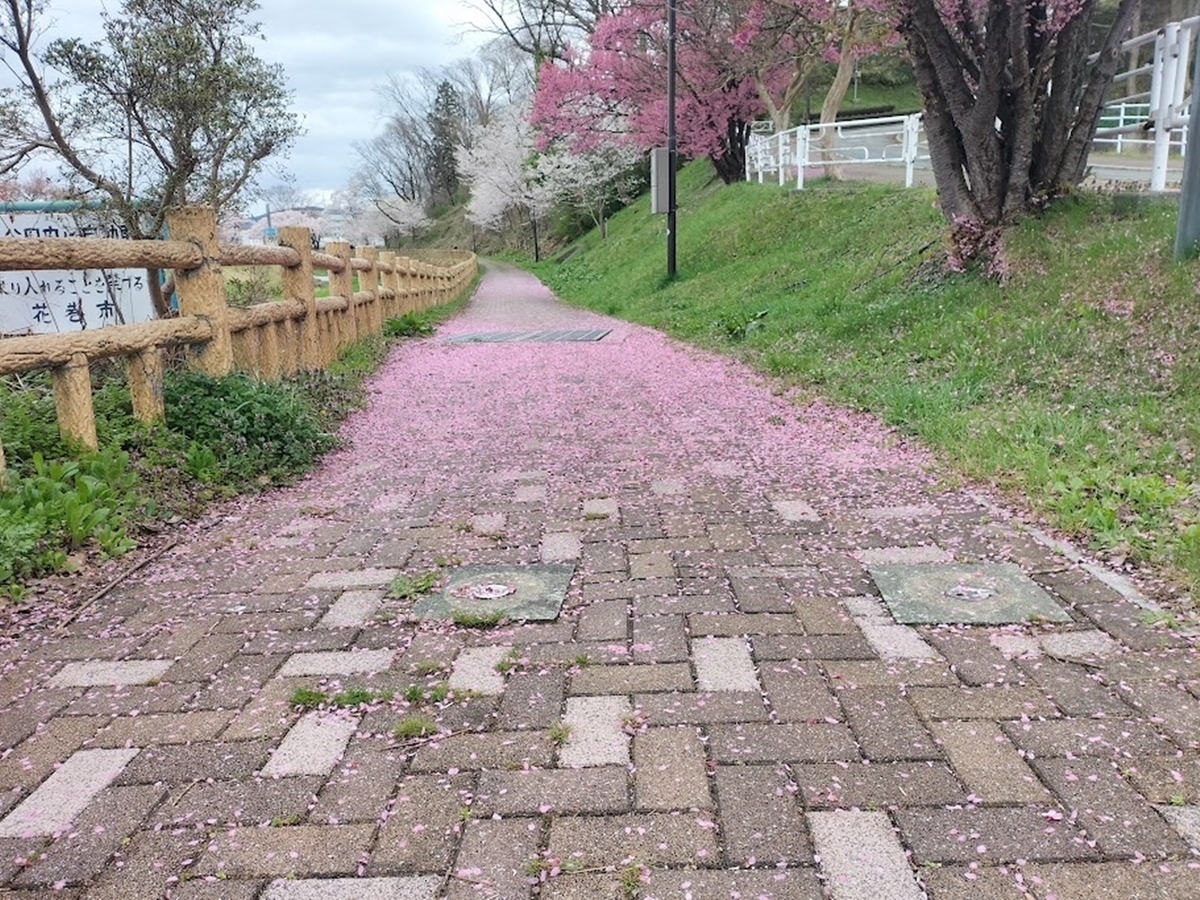梅の花びらのジュータン