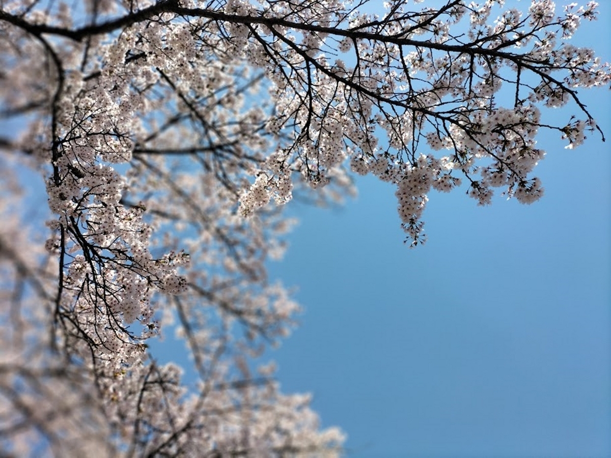 真上の空