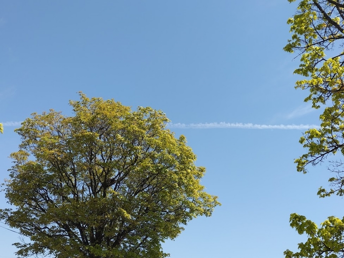 青空と飛行機雲