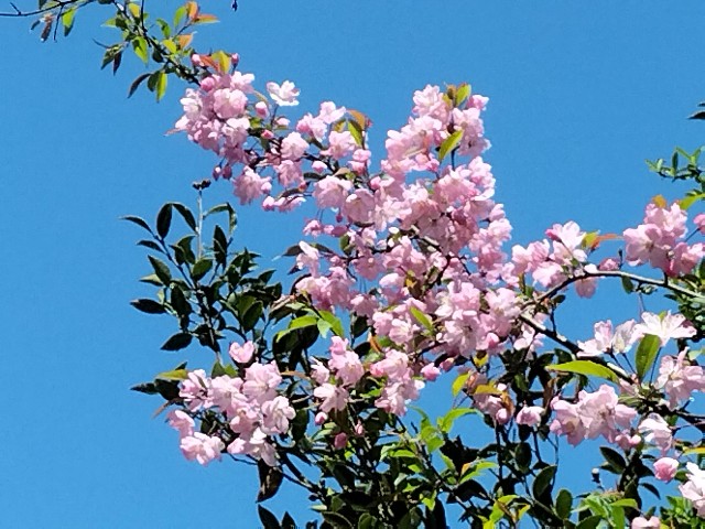 f:id:yamauba:20240427162629j:image f:id:yamauba:20240427162629j:image