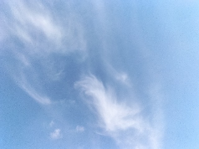 f:id:yamauba:20240427163040j:image f:id:yamauba:20240427163040j:image