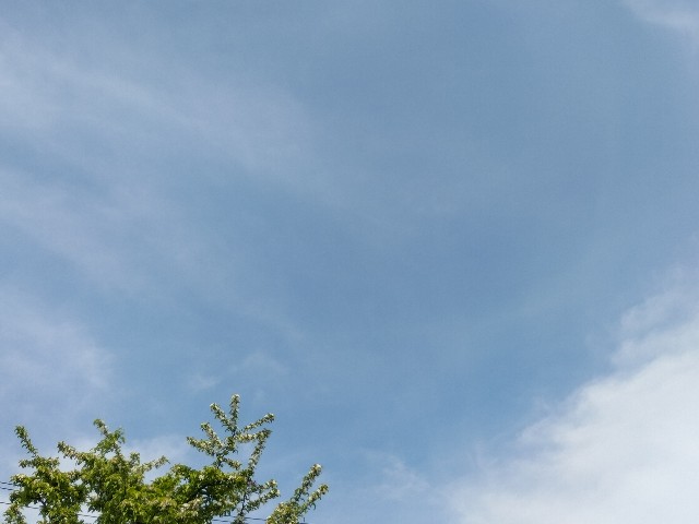 f:id:yamauba:20240514100227j:image