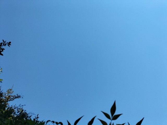f:id:yamauba:20240515112315j:image