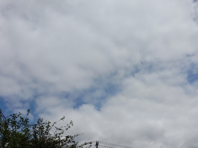 f:id:yamauba:20240607125457j:image f:id:yamauba:20240607125457j:image