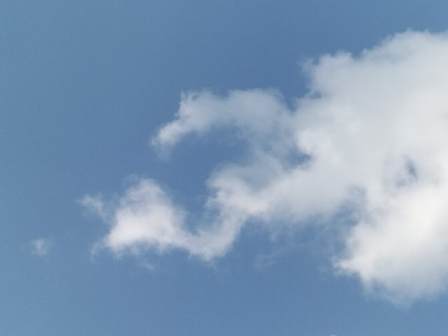 f:id:yamauba:20240616094829j:image