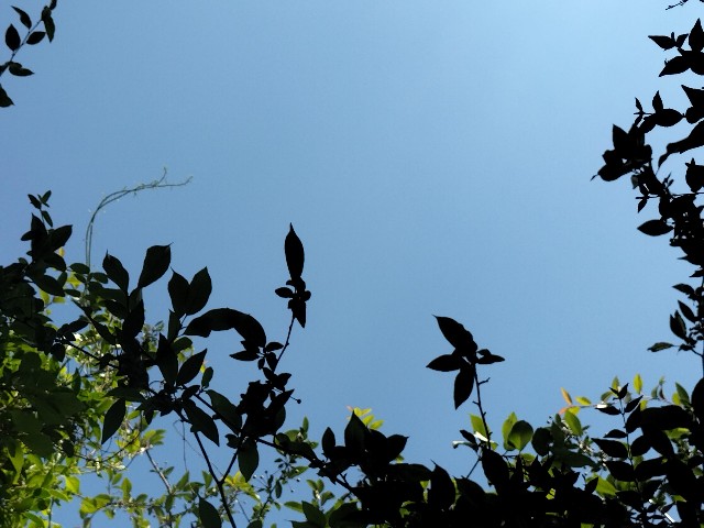 f:id:yamauba:20240617101521j:image f:id:yamauba:20240617101521j:image