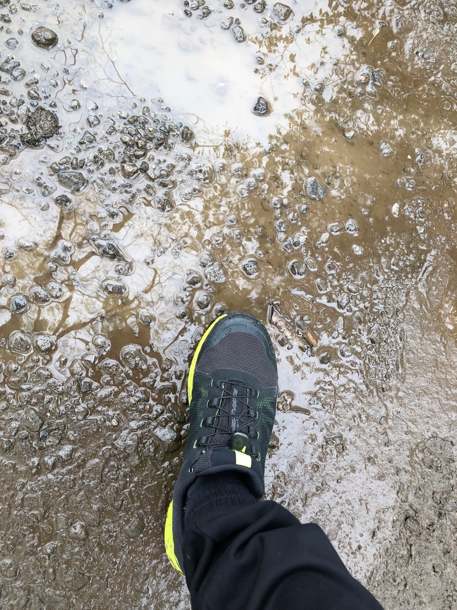 xa elevate 2 gtx