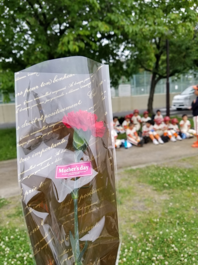 f:id:yamayamamayamaya:20180513143000j:plain f:id:yamayamamayamaya:20180513143000j:plain