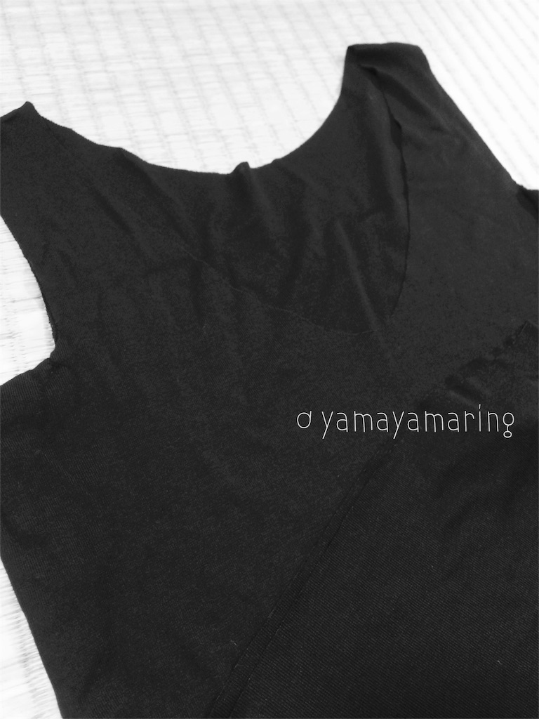 f:id:yamayamaring:20160730234709j:image