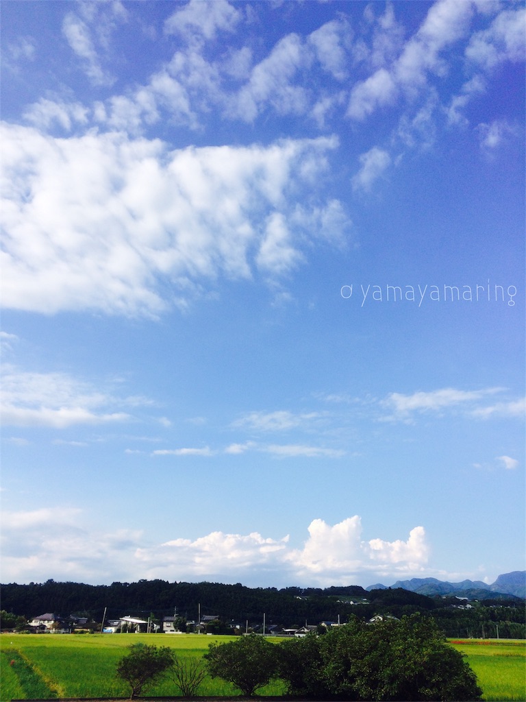 f:id:yamayamaring:20161001180236j:image
