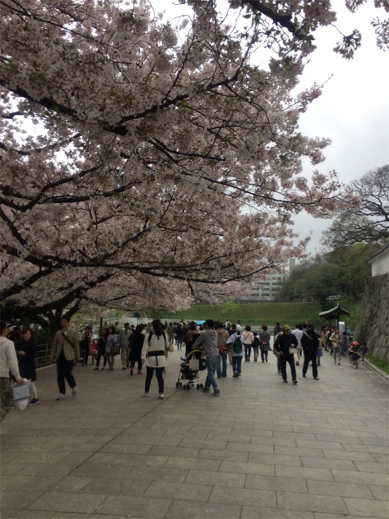 f:id:yamayamaring:20170412214500j:image