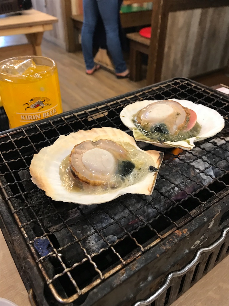 f:id:yamayamaring:20180702230722j:image