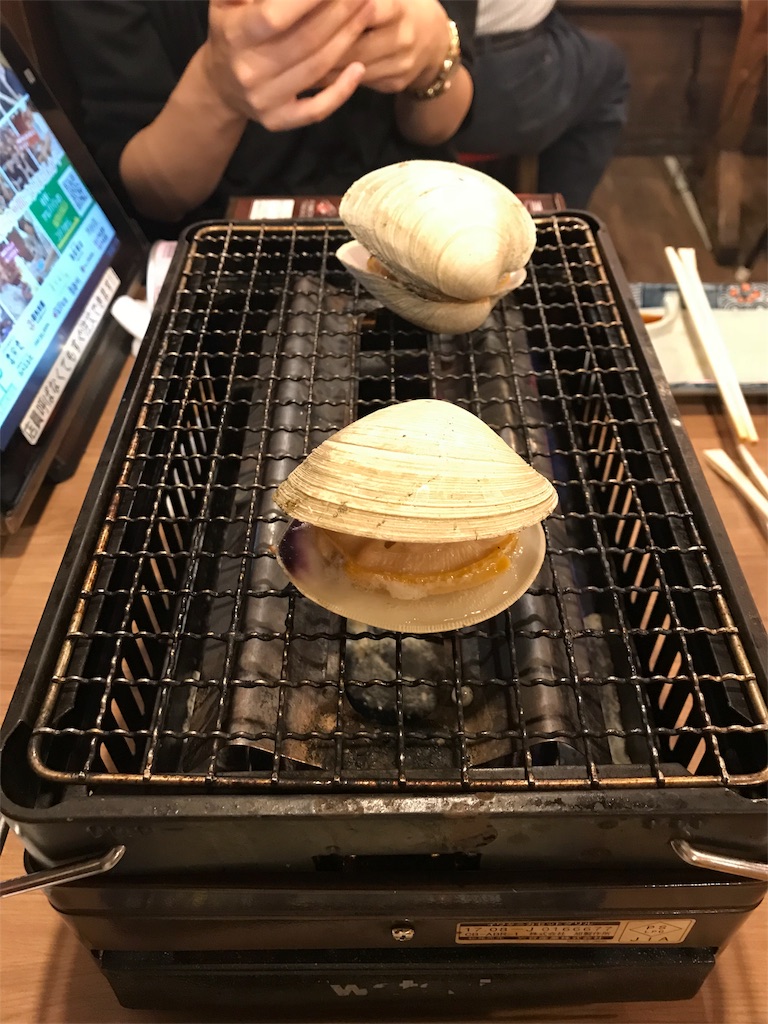f:id:yamayamaring:20180702231239j:image