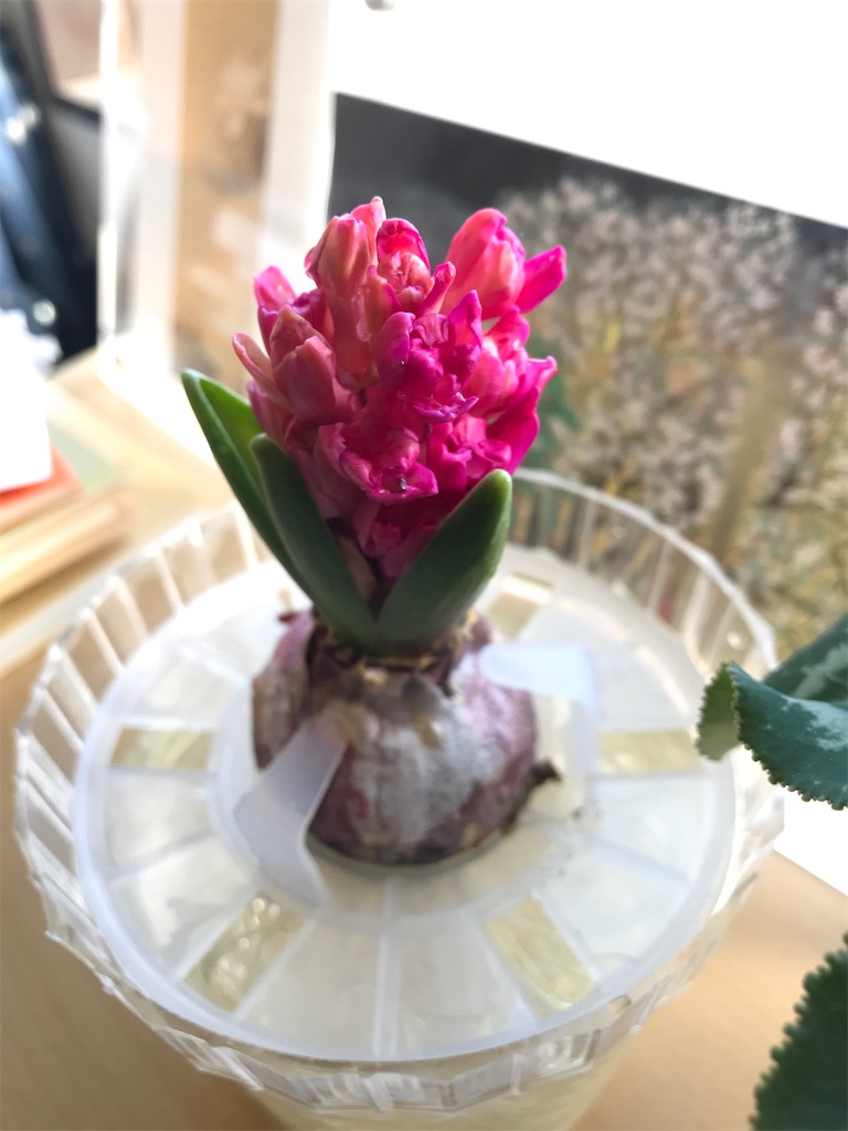 f:id:yamayamaring:20220314141606j:plain