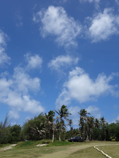 DSC06036