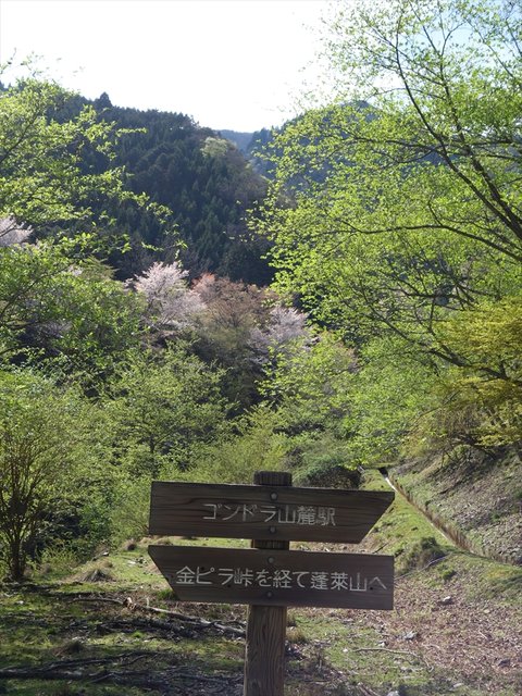 DSC04268_R