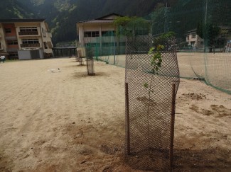 活動2