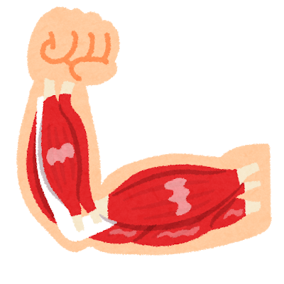 f:id:yamazirou:20210306101556p:plain