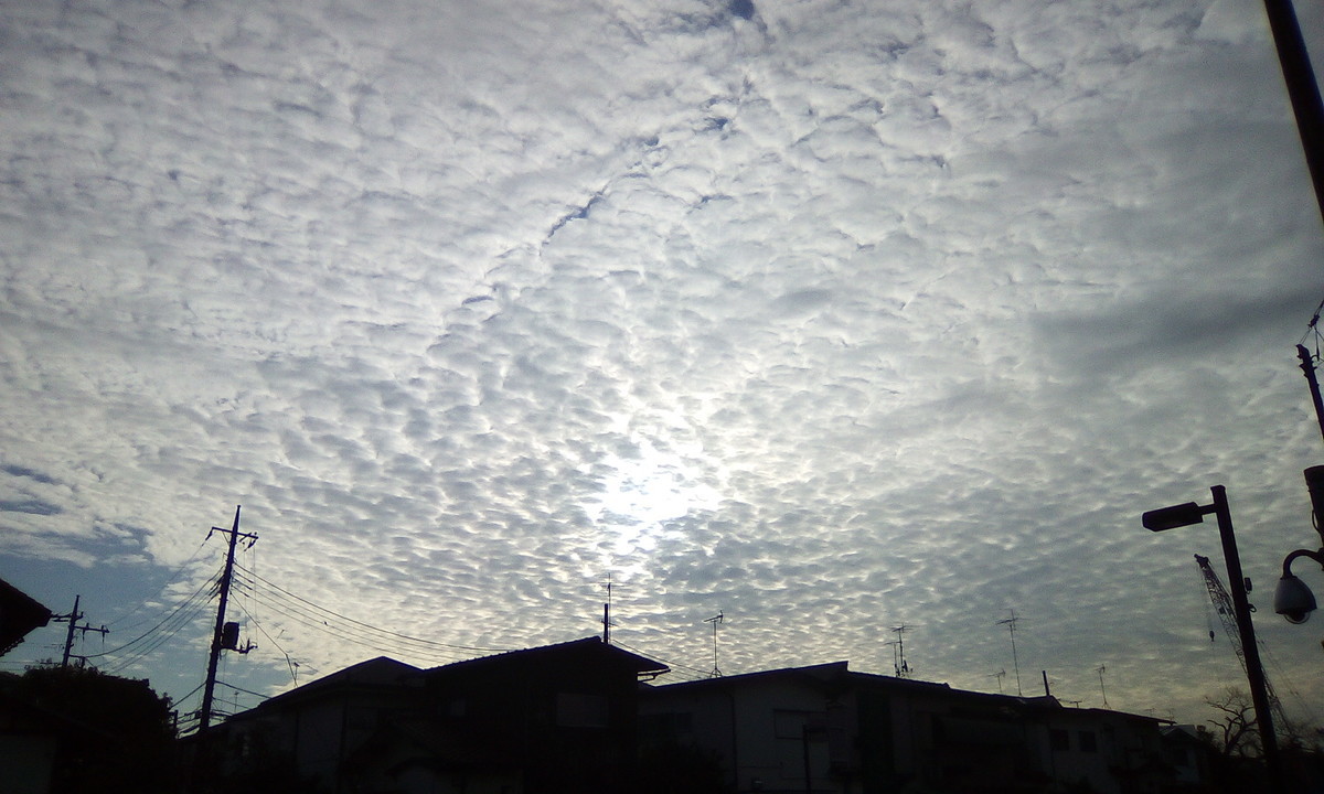 f:id:yamazon:20200107083340j:plain