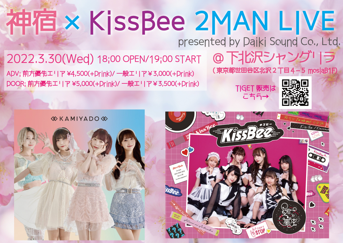 f:id:yamazudqx:20220312135053j:plain