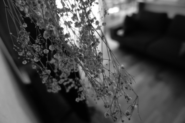 Sony Rx100m5 モノクロ作例 やまじー録