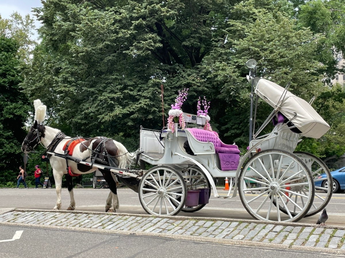 セントラルパークを1周する優雅な馬車ツアーを体験！ - 【コロナ禍