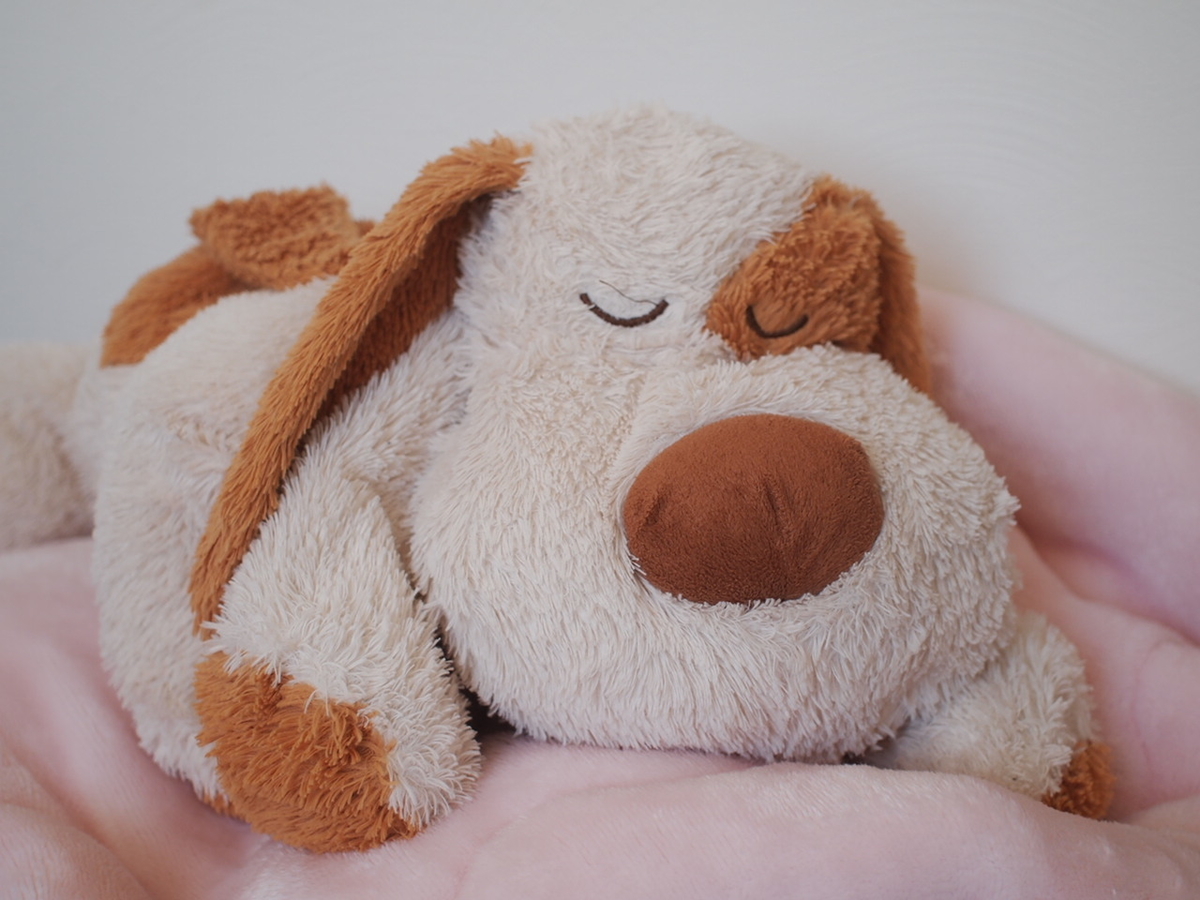 簡単 インナーチャイルドを癒してくれる ぬいぐるみセラピー 本当の自分を知る 活かす ヒーリング リーディング スピリチュアルケアセラピスト サティ
