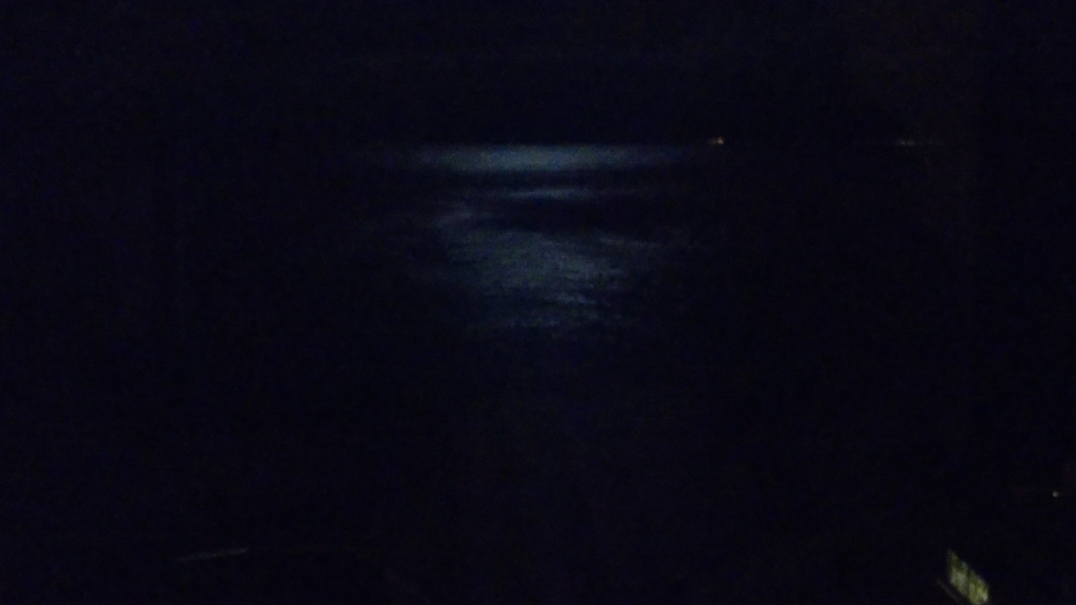 f:id:yaminomajin:20200912224207j:plain f:id:yaminomajin:20200912224207j:plain