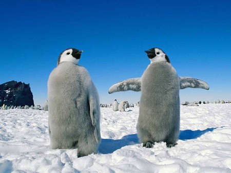 f:id:yammc:20050422133723j:image f:id:yammc:20050422133723j:image
