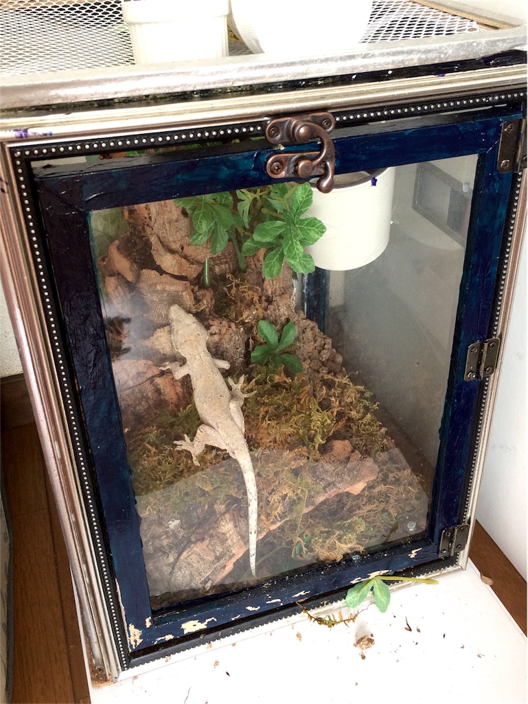 f:id:yamopeta:20160926010206j:image f:id:yamopeta:20160926010206j:image