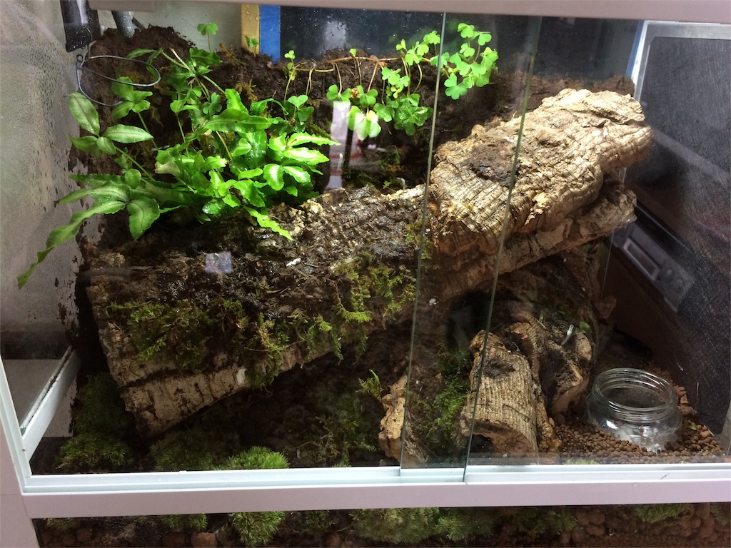 f:id:yamopeta:20161022132415j:image f:id:yamopeta:20161022132415j:image