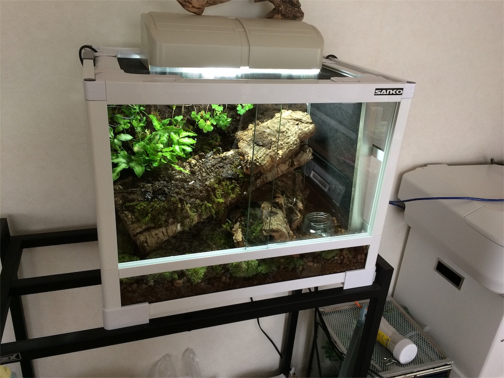 f:id:yamopeta:20161117193411j:image f:id:yamopeta:20161117193411j:image