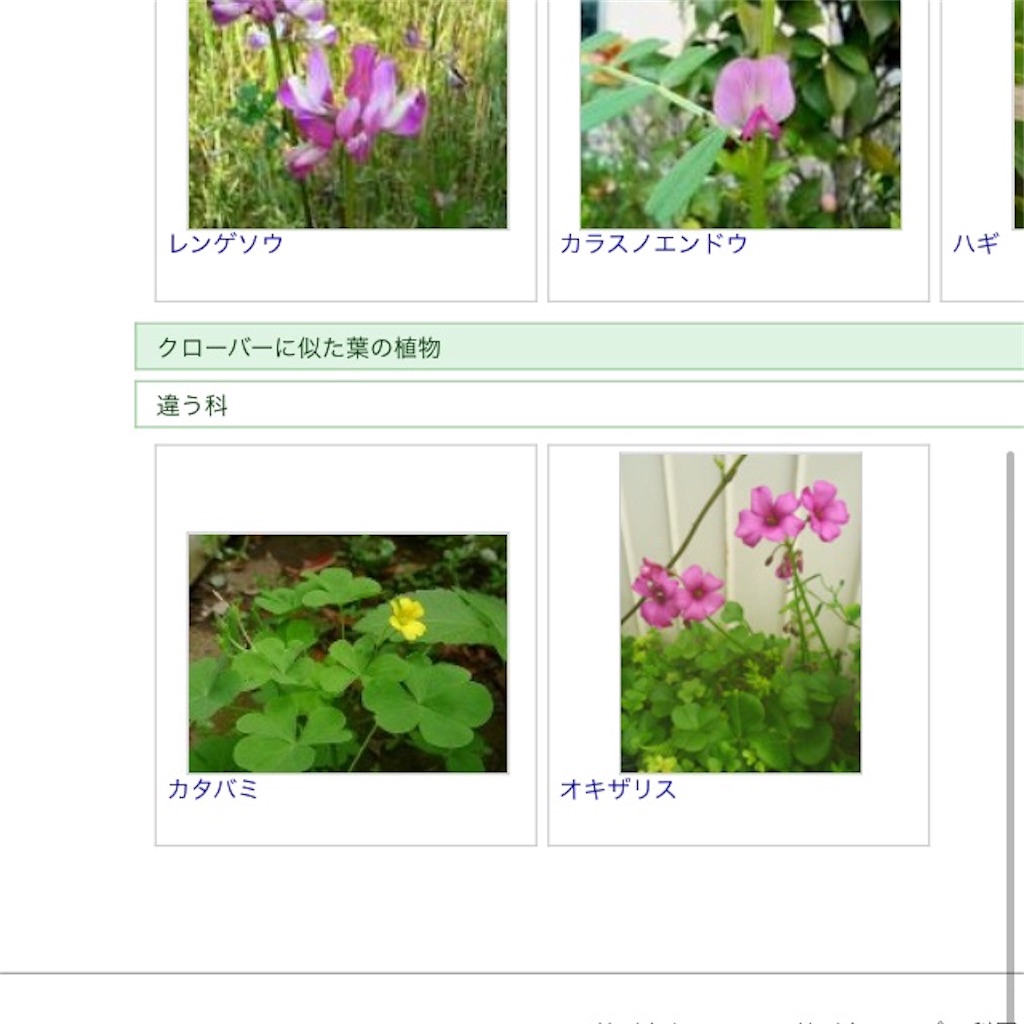 f:id:yamopeta:20161117201648j:image f:id:yamopeta:20161117201648j:image