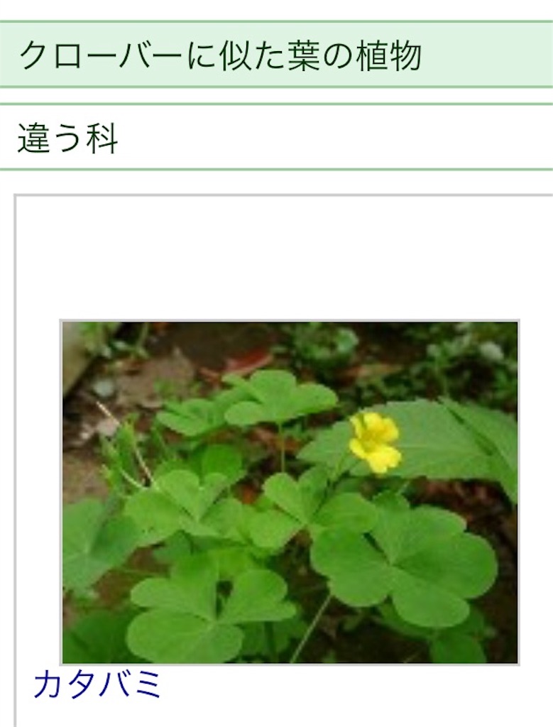 f:id:yamopeta:20161117201657j:image f:id:yamopeta:20161117201657j:image