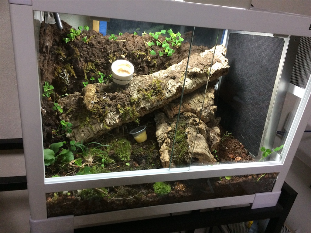 f:id:yamopeta:20161121010257j:image f:id:yamopeta:20161121010257j:image