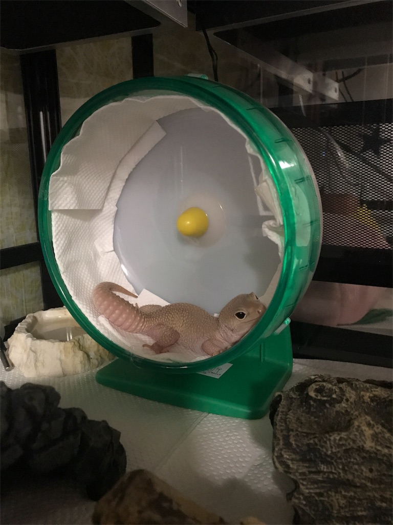 みゆきとかねなり