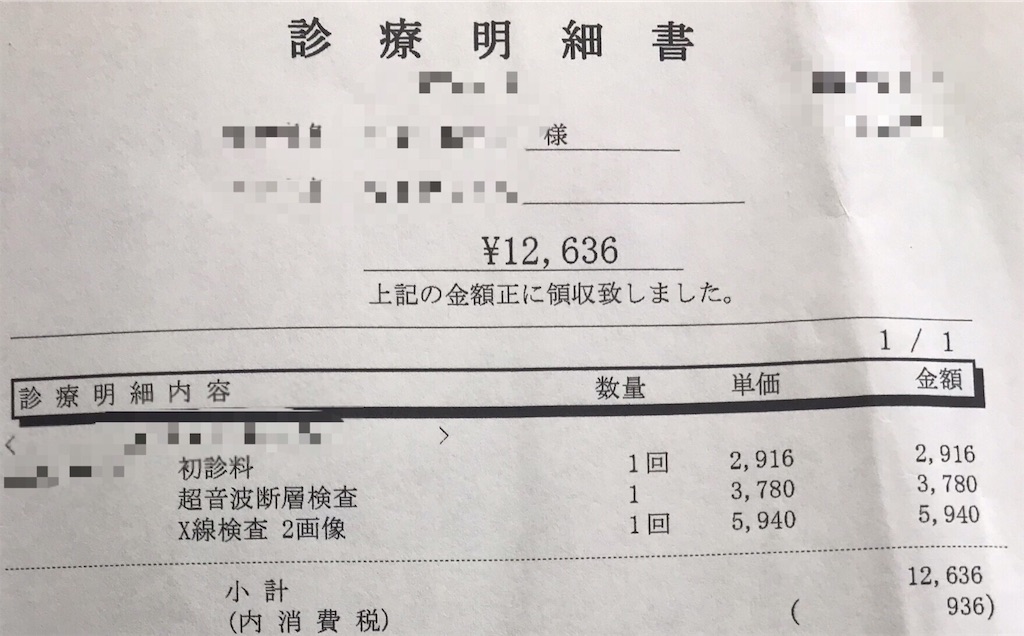 初めての病院 みゆきとかねなり