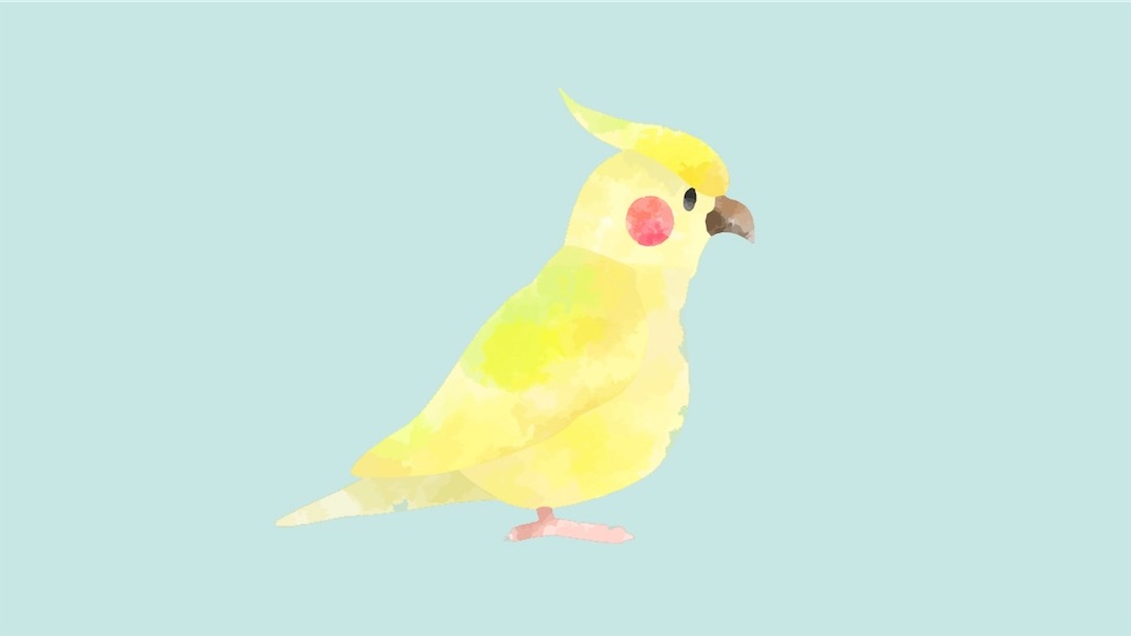 照れ屋のオカメインコのイラスト