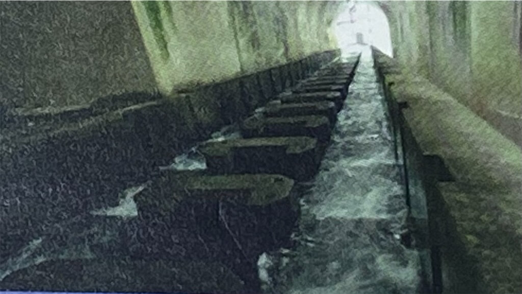 白丸調整池ダムの魚道