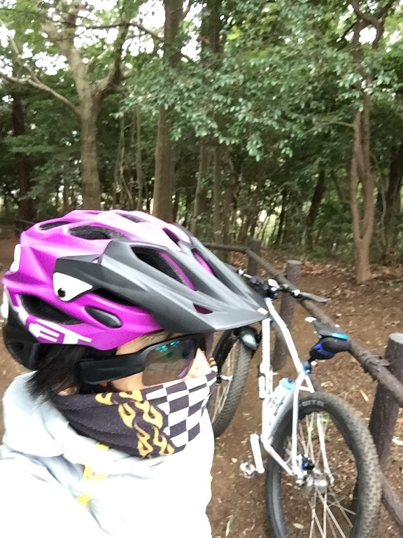 f:id:yamsugano:20210307160239j:plain