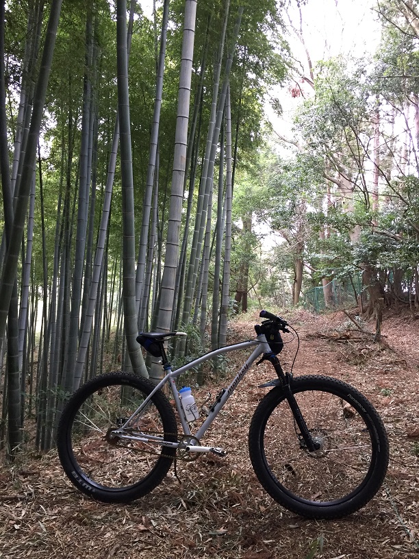 f:id:yamsugano:20210307160349j:plain