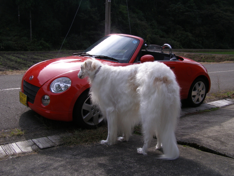 f:id:yamtoh:20101023142225j:image