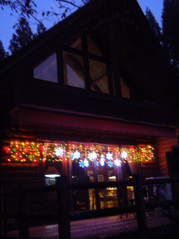 f:id:yamtoh:20101112173233j:image