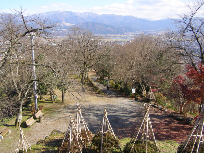 f:id:yamtoh:20101202115404j:image