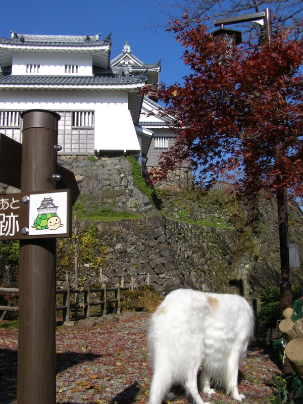 f:id:yamtoh:20101202120312j:image