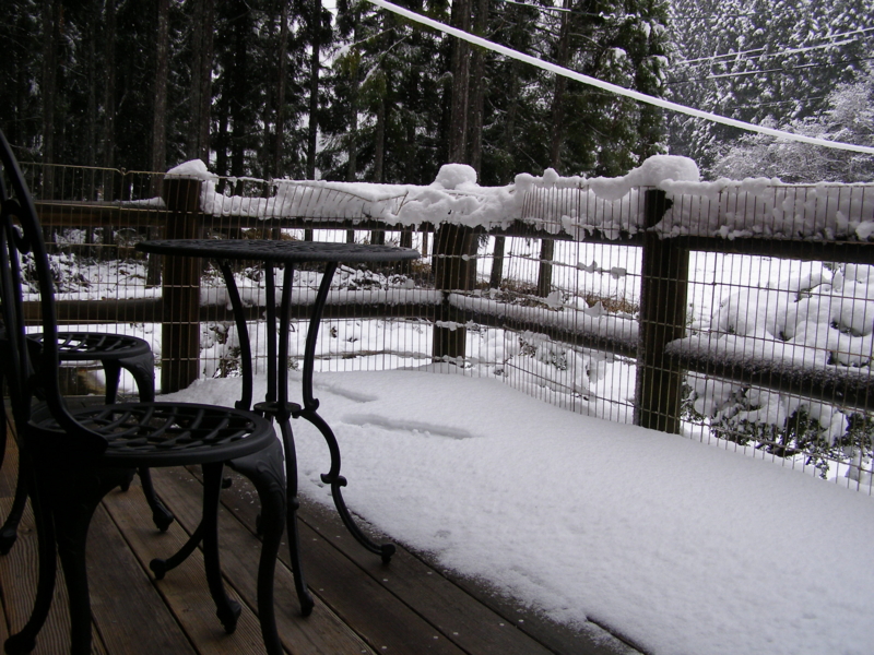 f:id:yamtoh:20101216101210j:image f:id:yamtoh:20101216101210j:image