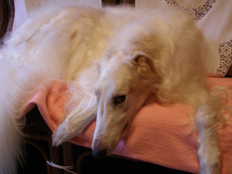 f:id:yamtoh:20110925171221j:image f:id:yamtoh:20110925171221j:image