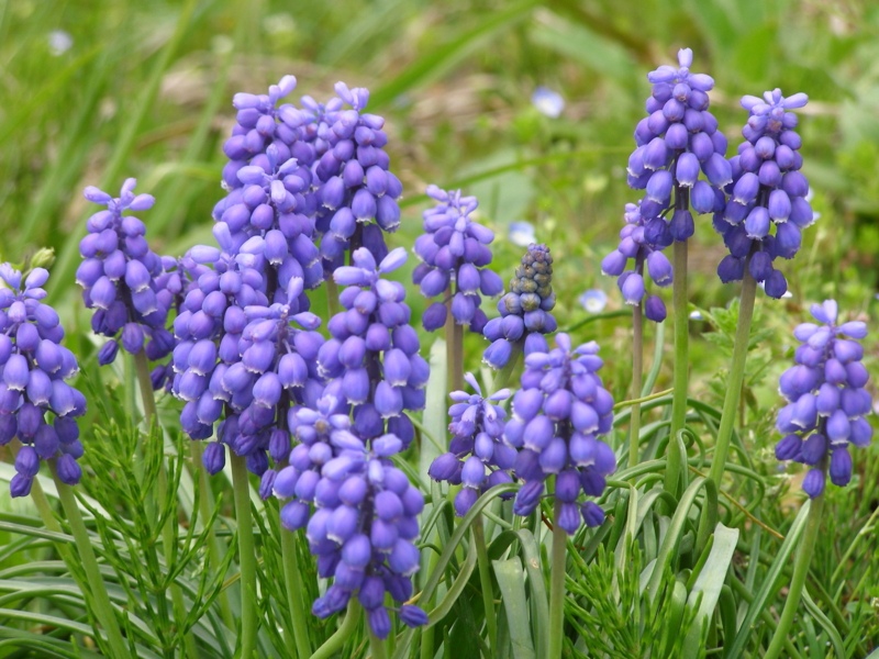 f:id:yamtoh:20140422123451j:image f:id:yamtoh:20140422123451j:image