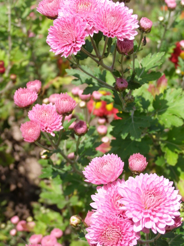 f:id:yamtoh:20141105125144j:image:w360